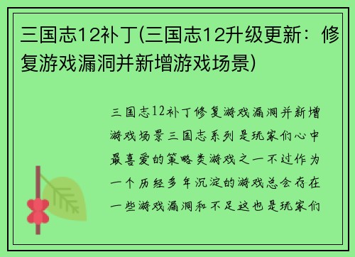 三国志12补丁(三国志12升级更新：修复游戏漏洞并新增游戏场景)
